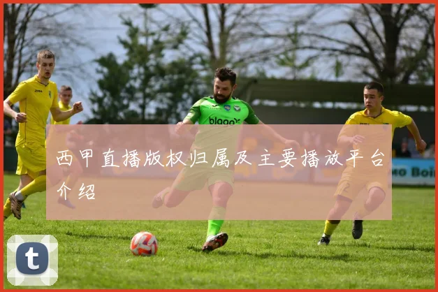 西甲直播版权归属及主要播放平台介绍