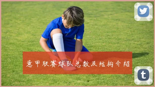 意甲联赛球队总数及结构介绍