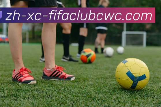 世界杯平台服务体系